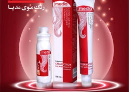 رنک موی مدیا