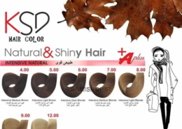 نمایندگی و مرکز پخش عمده KSD
