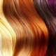 چشم اندازی به محصولات وینا + فروش عمده رنگ مو وینا